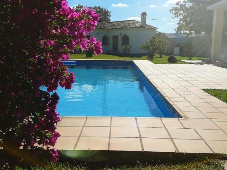 Casa 1 Con Piscina Privada Y Jardin Casa vacanze Arcos de la Frontera